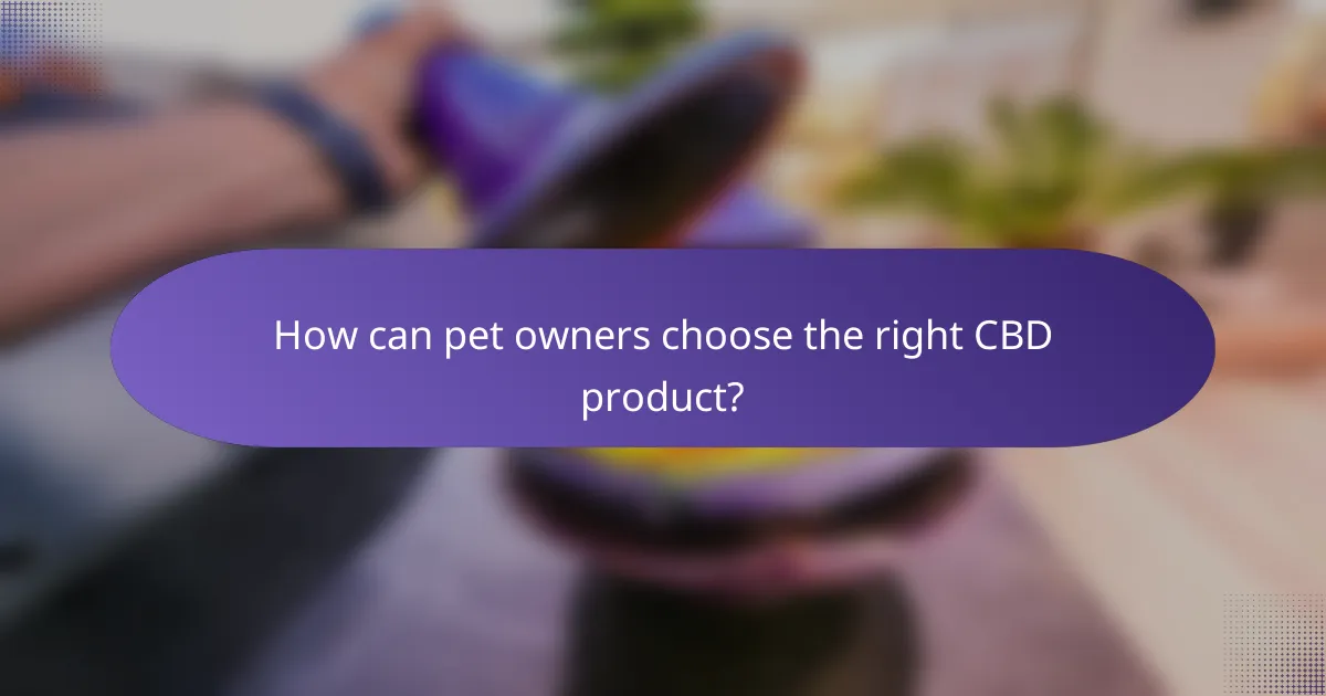 How can pet owners choose the right CBD product?
