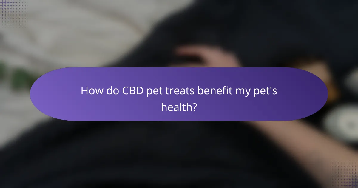 How do CBD pet treats benefit my pet's health?