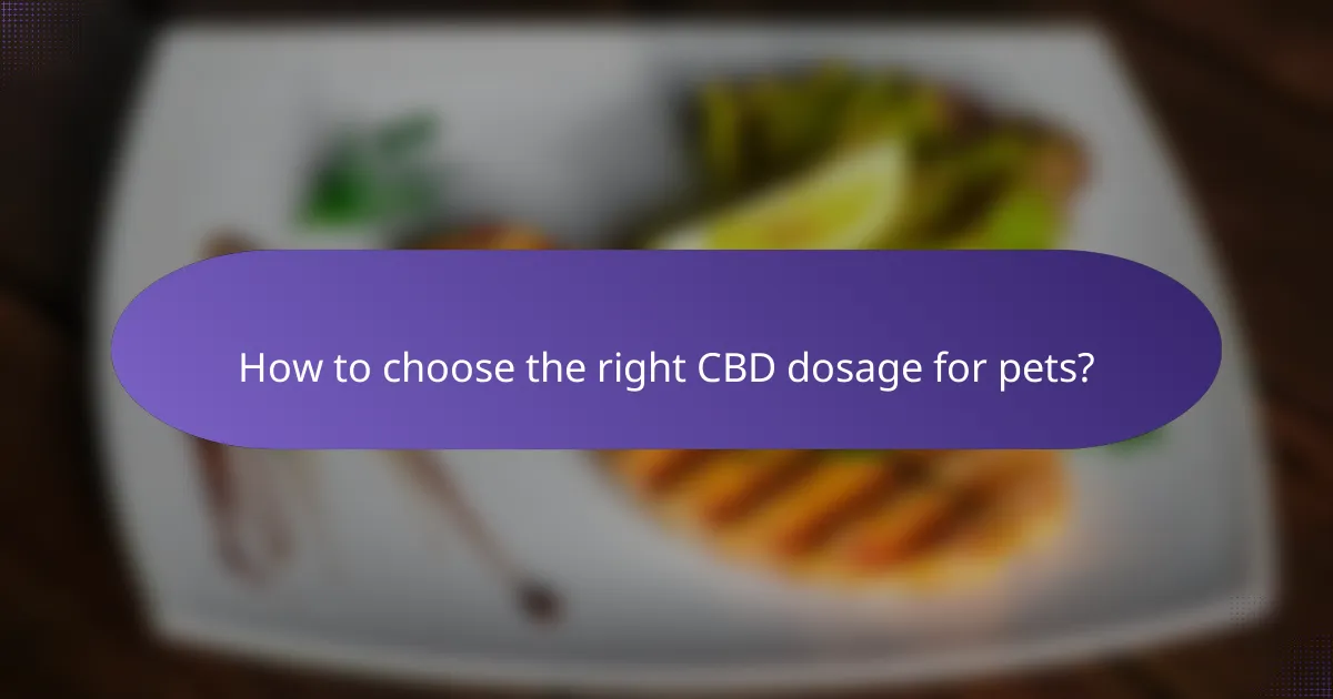 How to choose the right CBD dosage for pets?