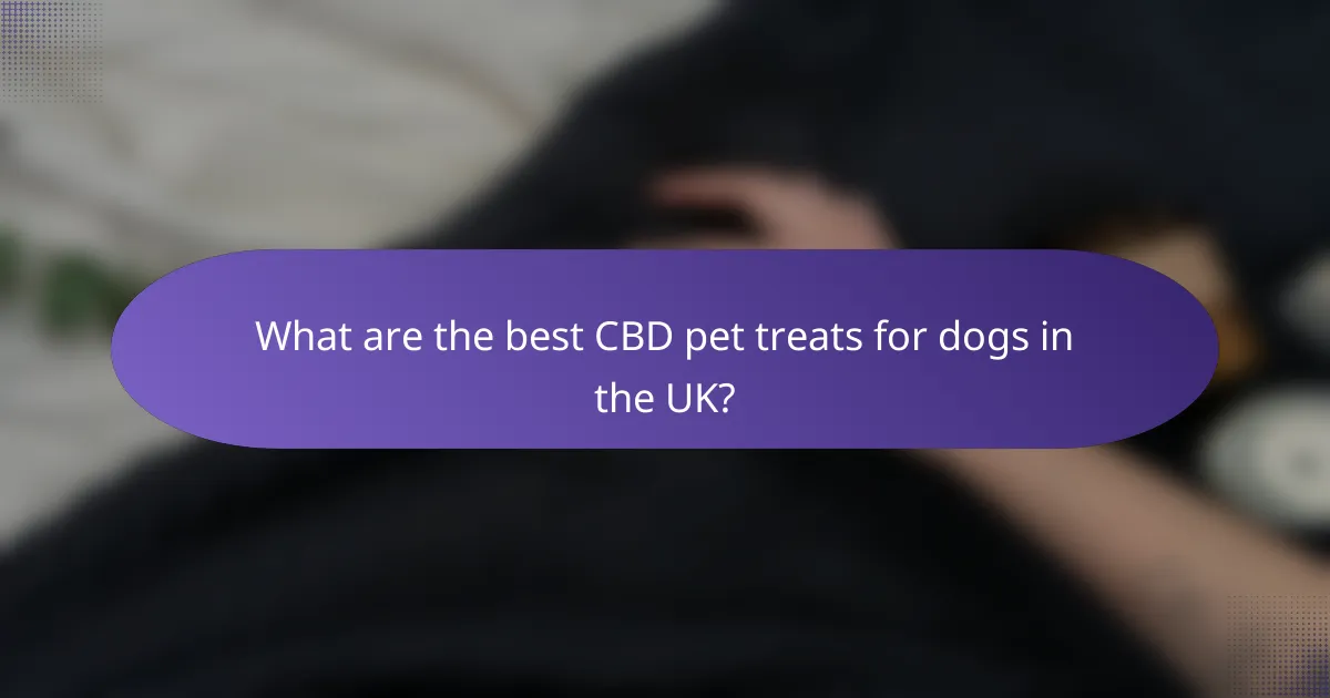 What are the best CBD pet treats for dogs in the UK?