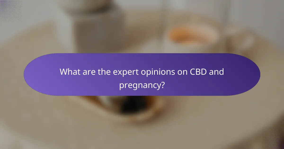 What are the expert opinions on CBD and pregnancy?