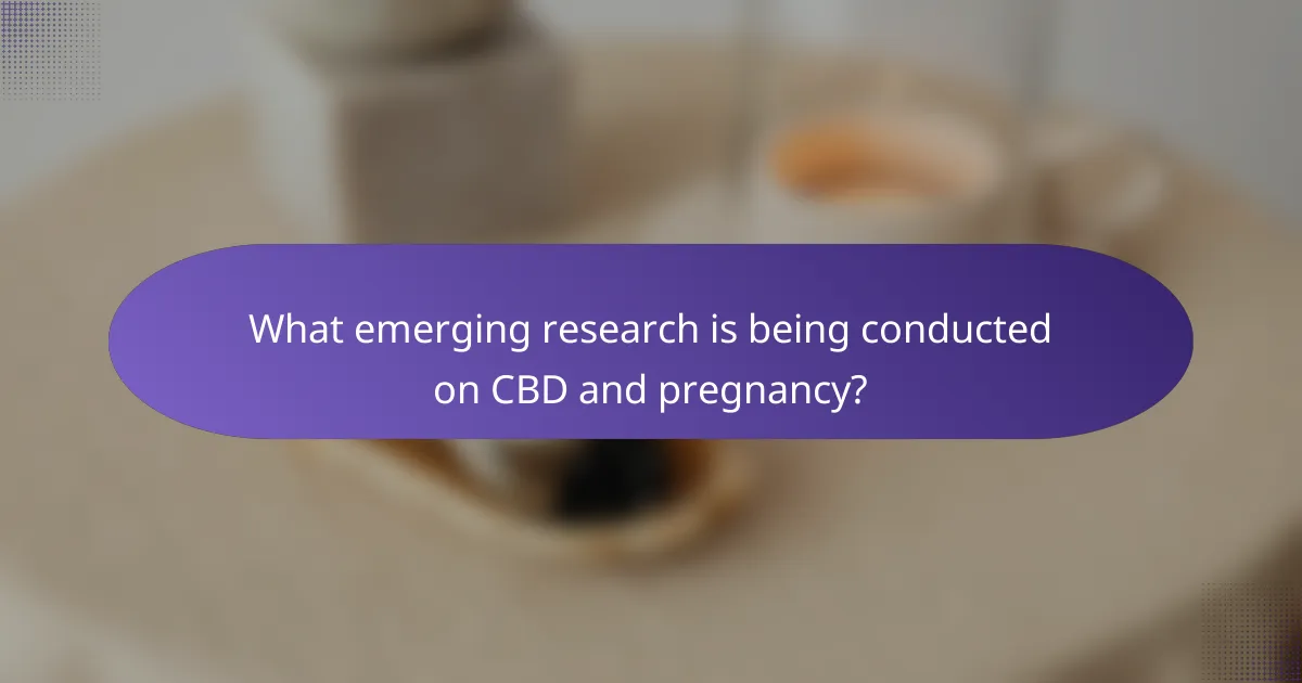 What emerging research is being conducted on CBD and pregnancy?
